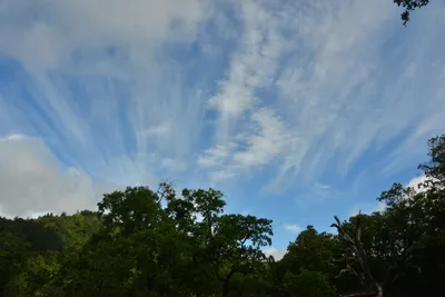 DSC_6790 (Large).JPG